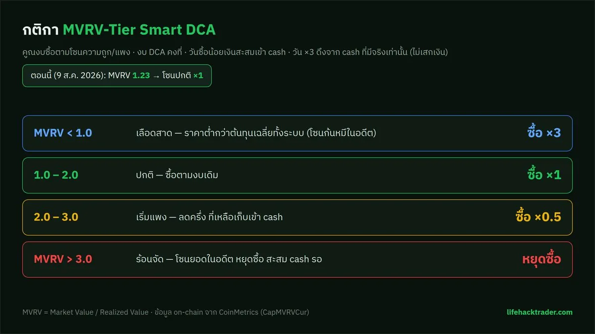 อินโฟกราฟิกกติกา MVRV-Tier Smart DCA: MVRV ต่ำกว่า 1 ซื้อ ×3, 1-2 ซื้อ ×1, 2-3 ซื้อ ×0.5 และเกิน 3 หยุดซื้อ